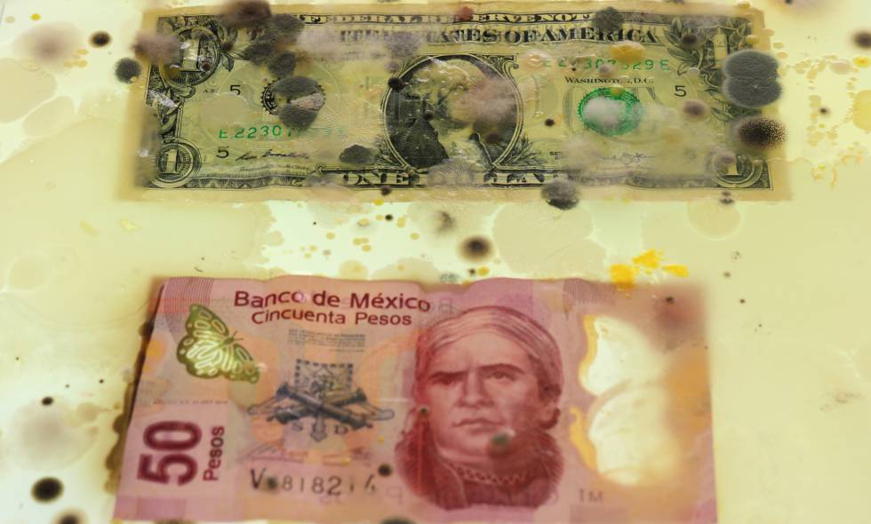 Después de leer esto, lo pensarás 2 veces o más.